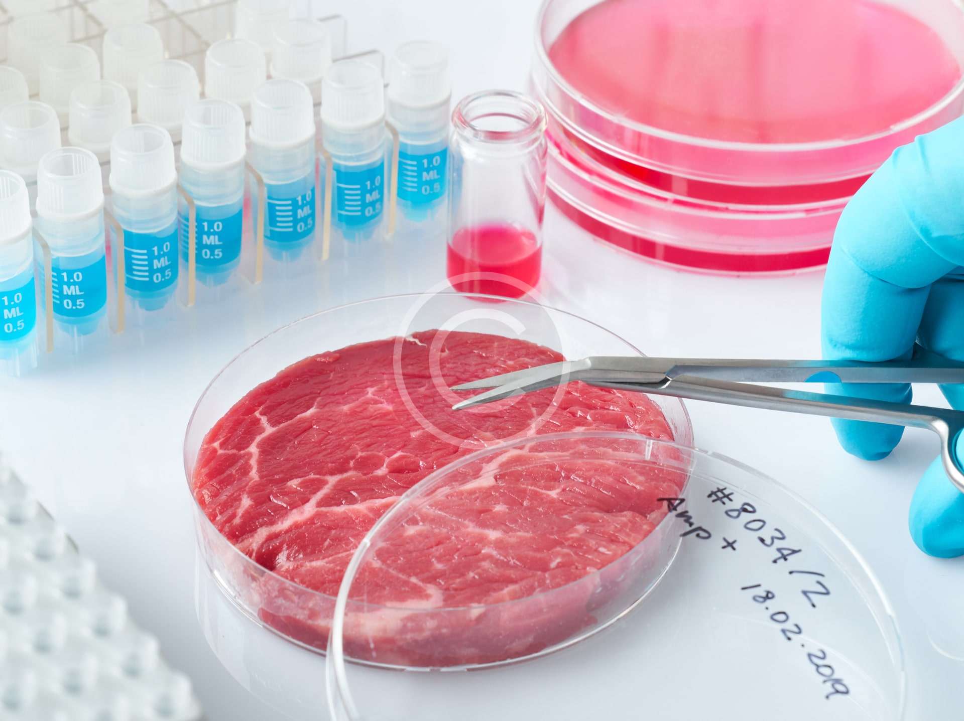 Food testing